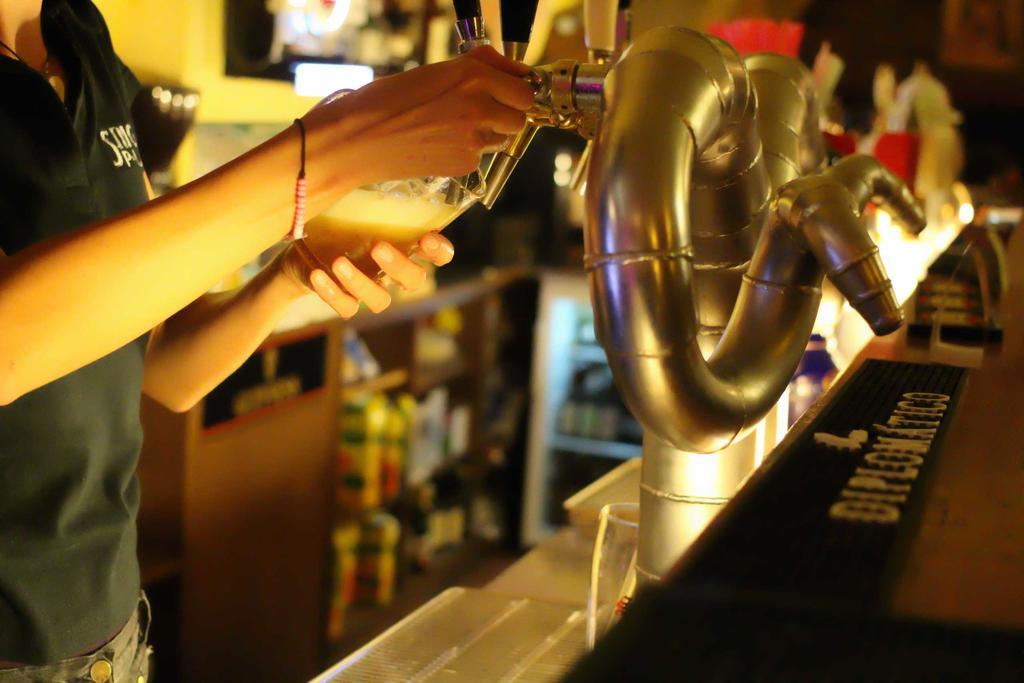 Hostel Singer Pub Ceske Budejovice Ngoại thất bức ảnh